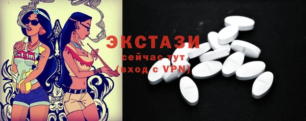 ECSTASY Богданович