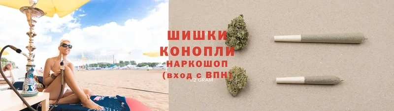 Бошки марихуана LSD WEED  где купить наркоту  Белокуриха 